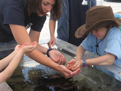 Getting up close to local marine life at our touch tank in Portsmouth!