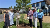 Mark Stebbins Community Center Receives Foundational Endowment Investment Rooting Long-Term Impact on Manchester's West Side