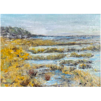 Field, Ocean & Marsh on display at Kennedy Gallery throughout the month of June