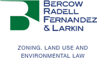 Bercow Radell Fernandez Larkin & Tapanes, PLLC