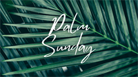 Sunday Celebration: Palm Sunday