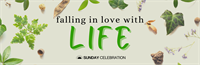 Sunday Celebration: Falling in Love with Life