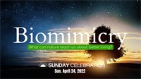 11:15AM Sunday Celebration: Biomimicry: What Can Nature Teach Us?