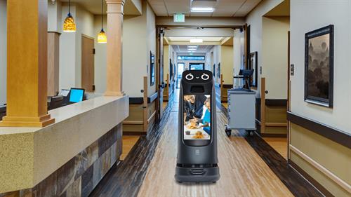 Indoor Delivery Robot and Host Robot