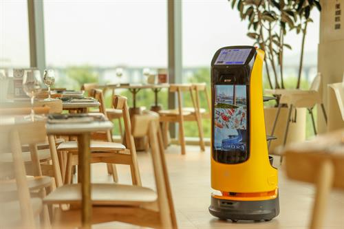 Runner and Busser Robot