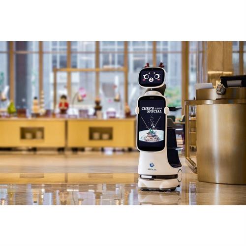 Indoor Delivery Robot and Host Robot