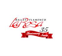 Live and Online Flamenco Classes with Ballet Flamenco La Rosa