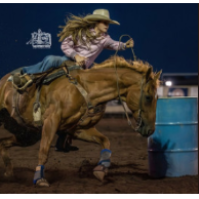 Williams Night Rodeo
