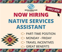 Native Services Assistant