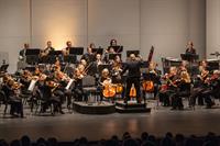 Flagstaff Symphony Orchestra Events and Volunteer Coordinator