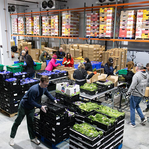 The Produce Rescue Center at Montgomery County Food Bank
