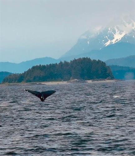 Alaska Alaska