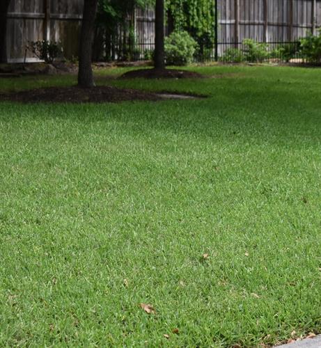 Gallery Image 2025-11-26.jpg