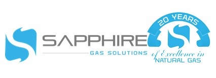 Gallery Image SGS_20_Year_Anniversary.jpg