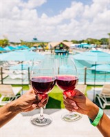 Uncorked Fridays at License to Chill