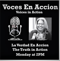 Voces En Accion or Voices In Action (VEA)