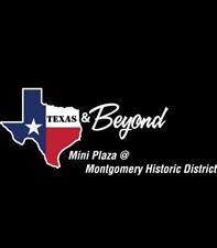 Texas and Beyond Mini Plaza