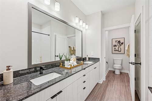 Double vanity in the primary 