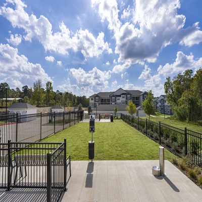 Gallery Image resized_dog_park_400_pixels.jpg