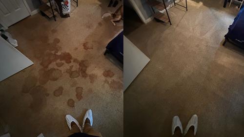 Before and After heavily soiled carpet Before and After heavily soiled carpet