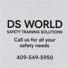 DS World Safety Training Solutions