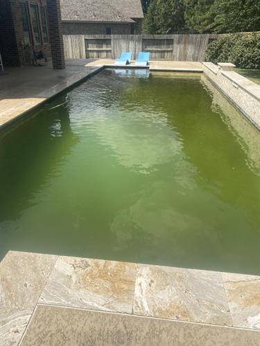 Our famous "Green to clean"  Don't let your green pool scare you!  