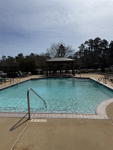 Gallery Image Pool.jpeg