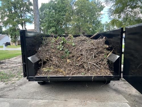 Branches, shrubs and leaves removal