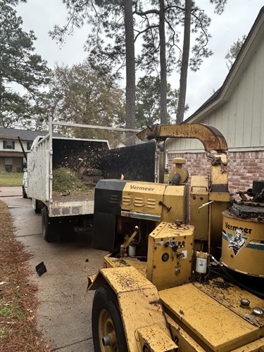 Chipper in Spring,TX