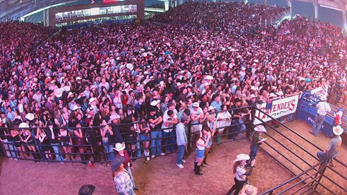 Citadel Security - Crowd Monitoring