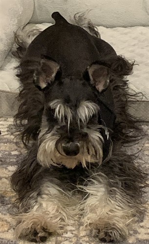 Beau he is daddys boy.