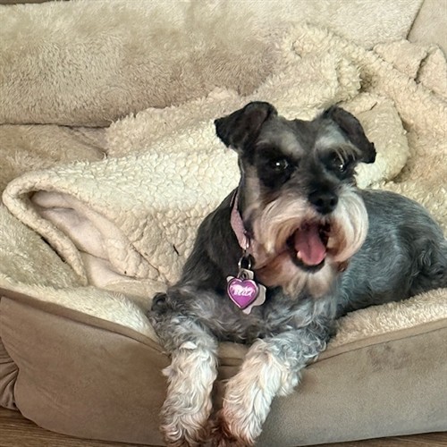 Bella says I am part of the Farr Group too!