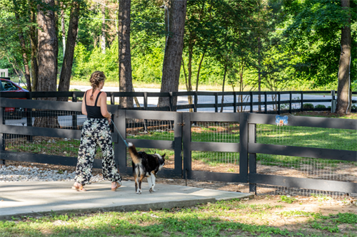 Dog Park at Majestic Pines RV Resort