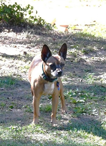 Lu: Supervisory Security Team Leader at the Willis Candle Shop