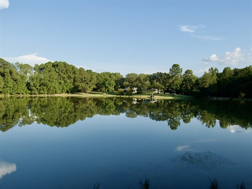 Gallery Image S1012379.jpeg