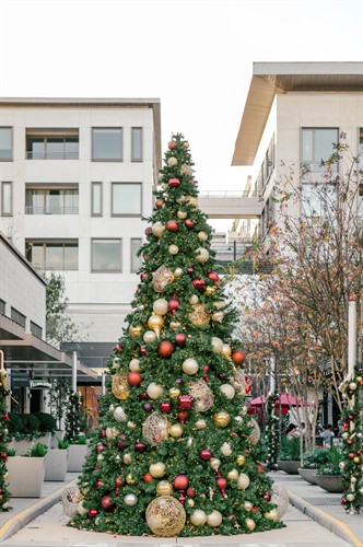 Gallery Image 2021_Silversand_Services_Holiday_Decor_-_0637.jpg