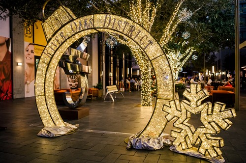 Gallery Image 2021_Silversand_Services_Holiday_Decor_-_0895.jpg