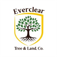 Everclear Tree and Land Co