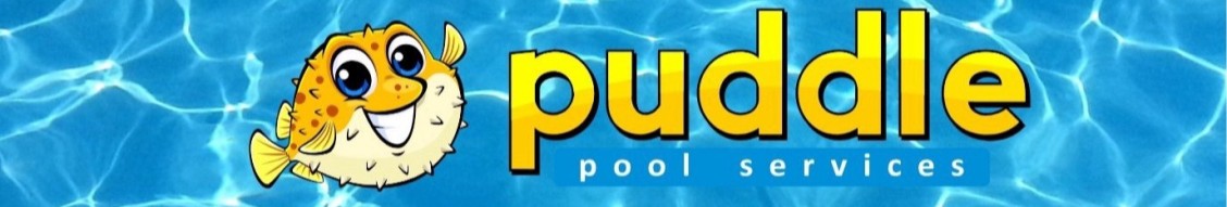 Puddle Pool Services of the Woodlands Puddle Pool Services of the Woodlands