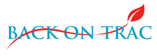 Back On Track Logo