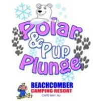 The Polar Bear and Pup Plunge