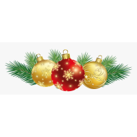 2025 December Holiday Luncheon
