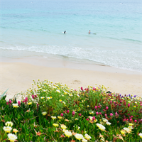 La Mer Beachfront Resort - Cape May