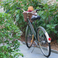 Bike in the Garden