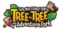 Tree To Tree Cape May Aerial Adventure Course