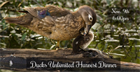 Cape May County Ducks Unlimited Harvest Dinner