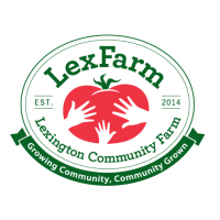 Harvest Festival at Lexington Community Farm