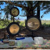 Awaken an Adventure in Panama: 2025 Women's Retreat