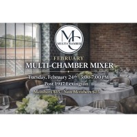 Multi-Chamber Networking Mixer- Lexington