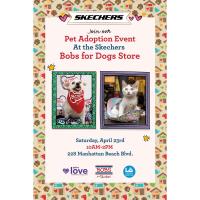 Skechers Pet Adoption Event